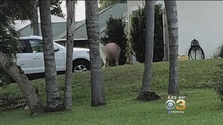 Vídeo incorporado do YouTube